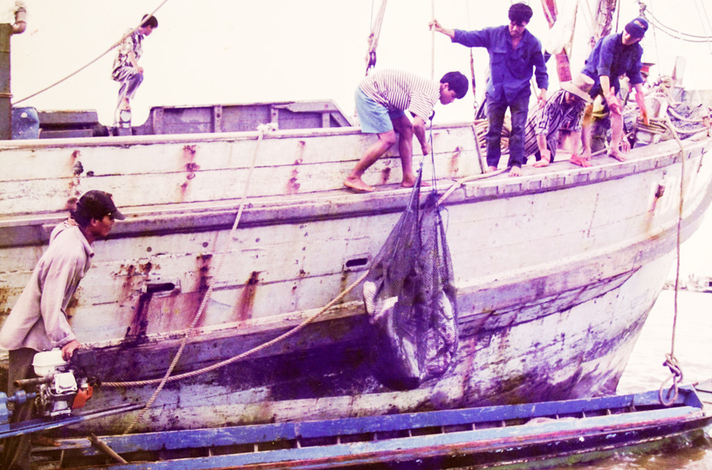 Cơn ác mộng 20 năm sau bão Linda