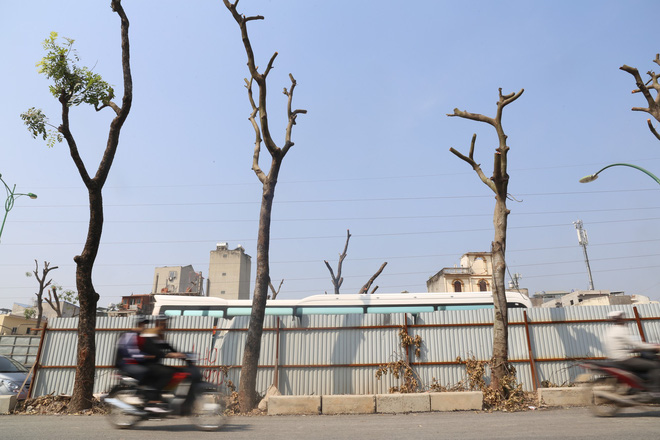 Đường Phạm Văn Đồng chìm trong nắng bụi khi bắt đầu chặt hạ 1300 cây xanh