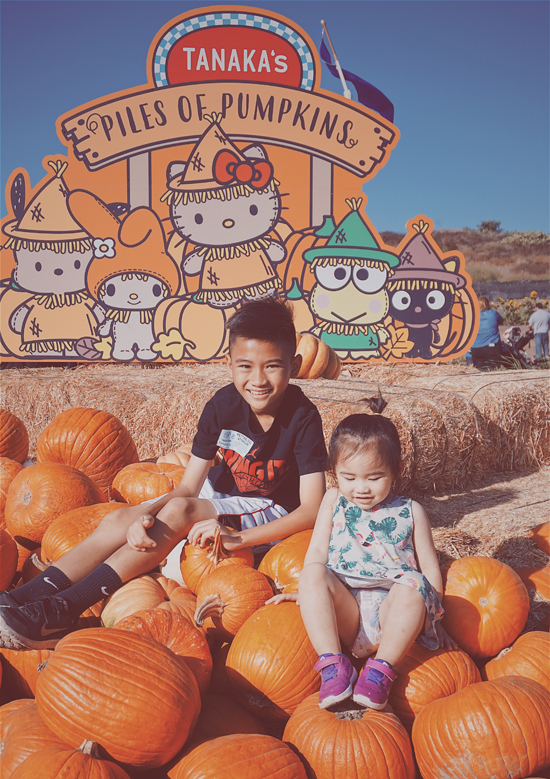 Vợ chồng Kim Hiền đưa hai con đi chơi ở trang trại bí ngô