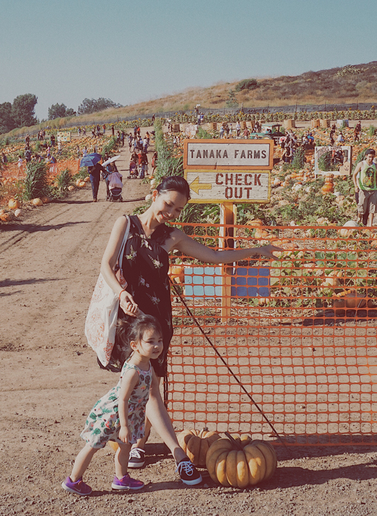 Vợ chồng Kim Hiền đưa hai con đi chơi ở trang trại bí ngô