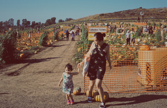 Vợ chồng Kim Hiền đưa hai con đi chơi ở trang trại bí ngô