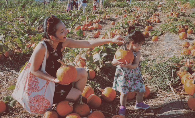 Vợ chồng Kim Hiền đưa hai con đi chơi ở trang trại bí ngô