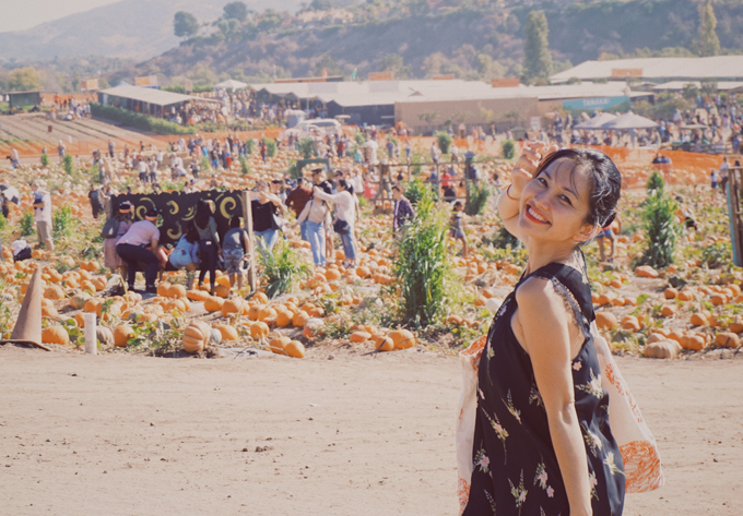 Vợ chồng Kim Hiền đưa hai con đi chơi ở trang trại bí ngô