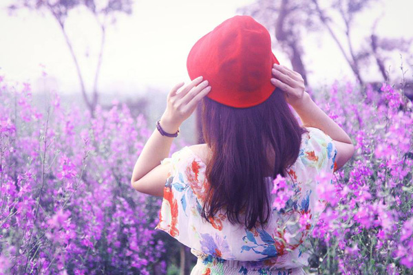 Tử vi tháng 11/2017 mới nhất, chuẩn nhất của 12 con giáp