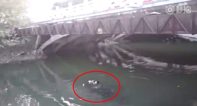 Nhảy sông tự tử nhưng không chìm vì mặc quá nhiều áo ấm