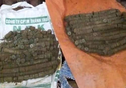 Nông dân đào được hơn một tạ tiền xu