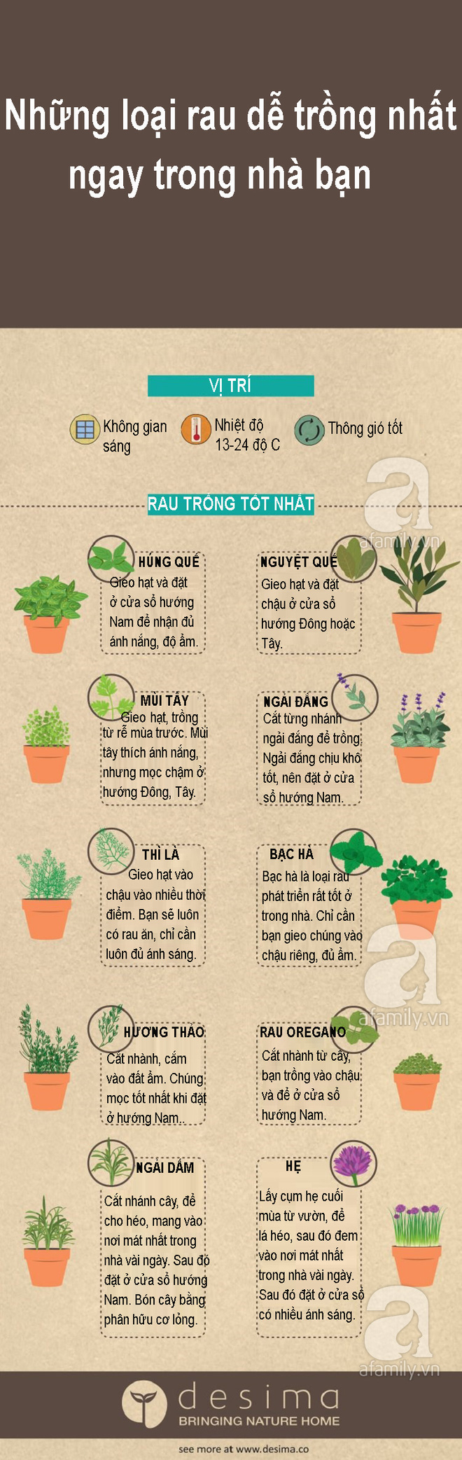 Trồng rau trong nhà phố tưởng không dễ hóa ra lại dễ không tưởng nhờ biết những mẹo này Trồng rau trong nhà phố tưởng không dễ hóa ra lại dễ không tưởng nhờ biết những mẹo này
