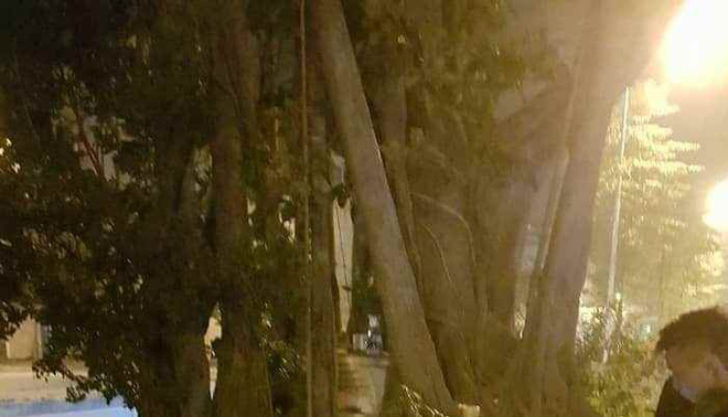 Hà Nội: Rượu say, một người đàn ông chạy ra gốc đa tẩm xăng tự thiêu