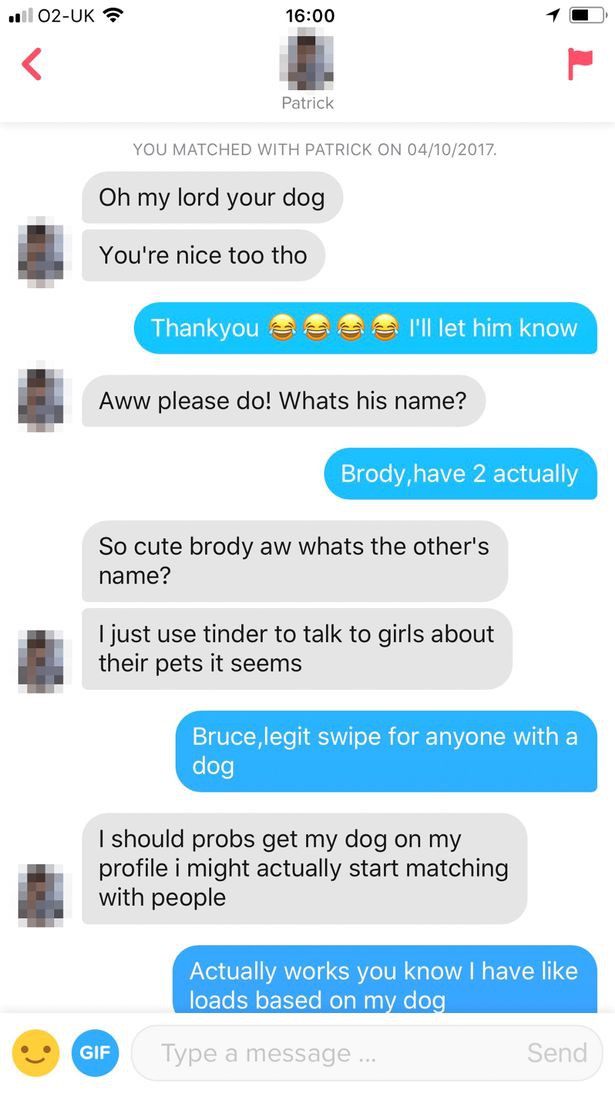 Đăng ảnh chó cưng lên profile Tinder, cô gái trẻ hối hận vì quyết định sai lầm của mình