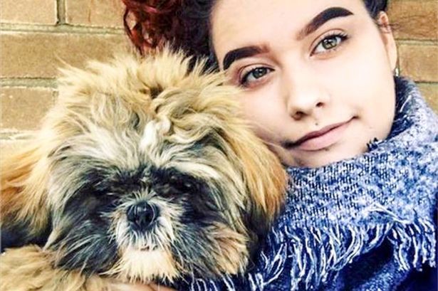 Đăng ảnh chó cưng lên profile Tinder, cô gái trẻ hối hận vì quyết định sai lầm của mình