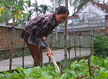 Người hưởng lương hưu thấp nhất Việt Nam là 350.000 đồng