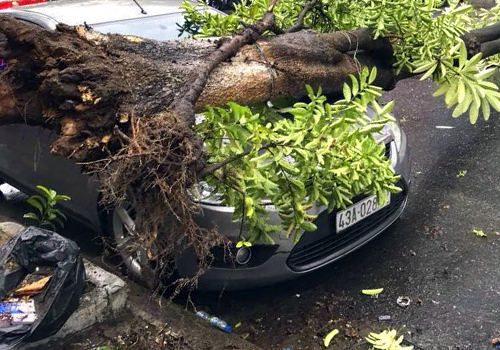 Đà Nẵng họp khẩn trước nguy cơ thiên tai dịp APEC