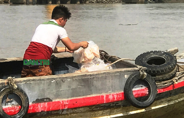 Hai tàu container tông nhau trên sông, hàng trăm người lao ra hôi của