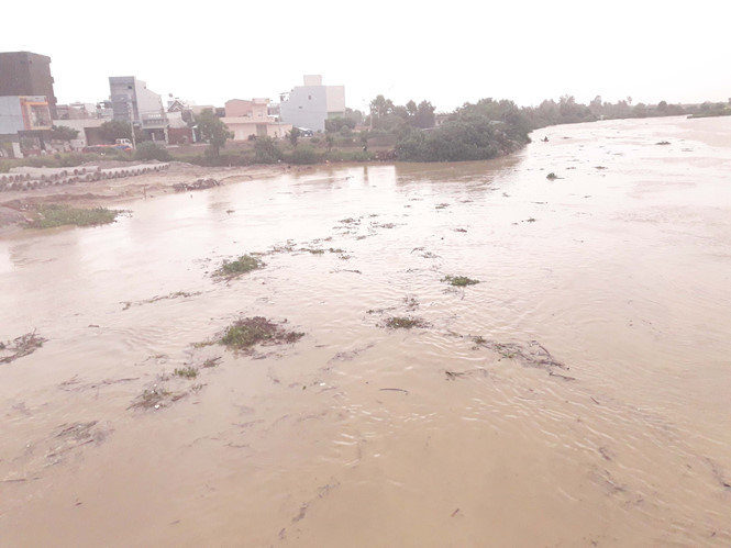 Nữ công nhân bị rơi xuống nước mất tích khi đang vớt rác