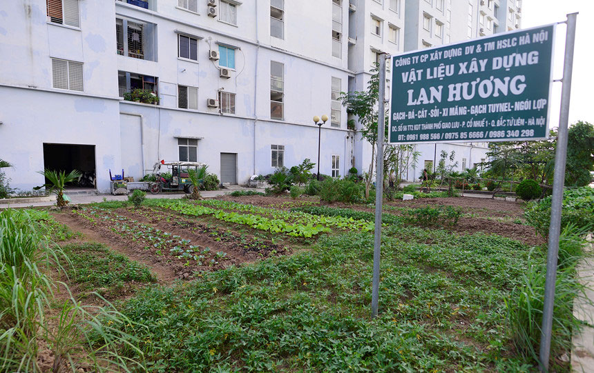 Bị dân chê, hàng loạt tòa nhà tái định cư bỏ hoang tại Hà Nội