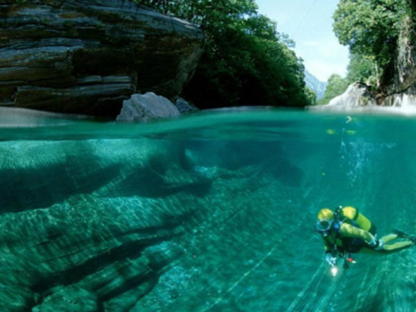 Cá mập cắn chết người tại vùng biển Costa Rica