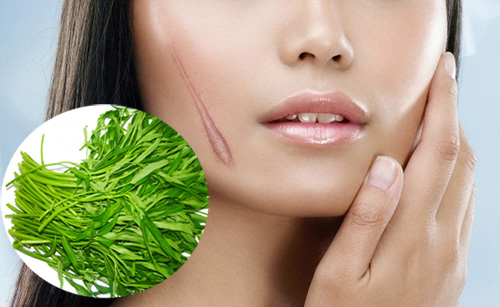 Thực hư chuyện ăn rau muống gây sẹo lồi Thực hư chuyện ăn rau muống gây sẹo lồi