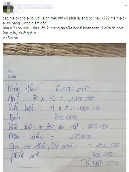 Tổng thu cả tháng 6 triệu, mẹ trẻ nhịn miệng nuôi 2 con bằng bỉm sữa xịn còn bị chê hoang phí