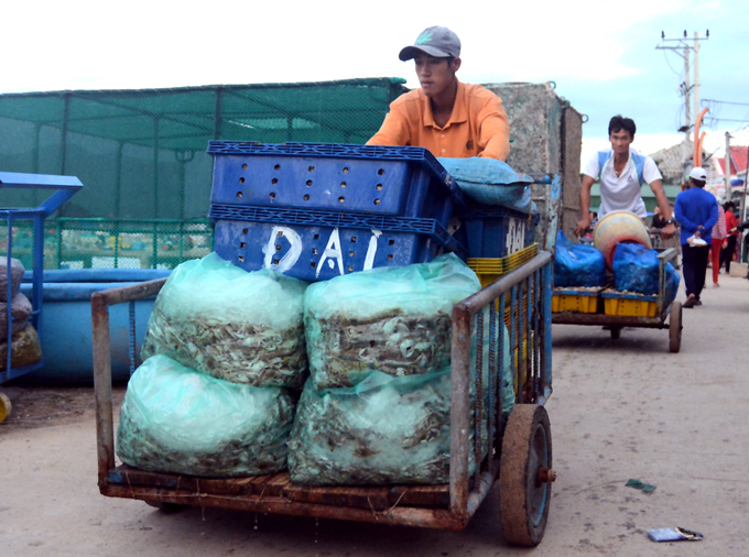 Người dân Nam Trung Bộ chạy bão Damrey