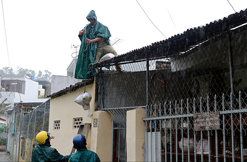 Phó thủ tướng Trịnh Đình Dũng: Cưỡng chế người không rời vùng bão