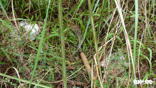 Chủ doanh nghiệp cầm rựa chém người sau vụ cẩu xe tại BOT Cai Lậy