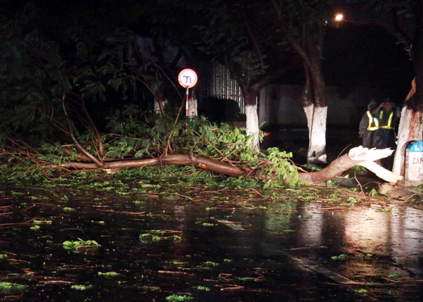 Ít nhất 11 người chết, nhiều nạn nhân mất tích vì bão Damrey
