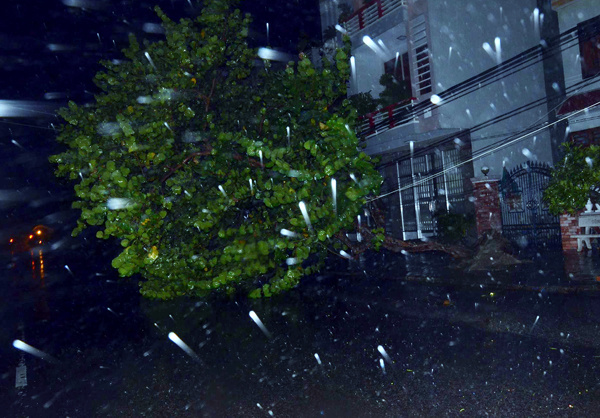 Ít nhất 11 người chết, nhiều nạn nhân mất tích vì bão Damrey