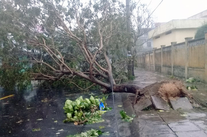 Bão Damrey đổ bộ, Khánh Hòa và Phú Yên tan hoang