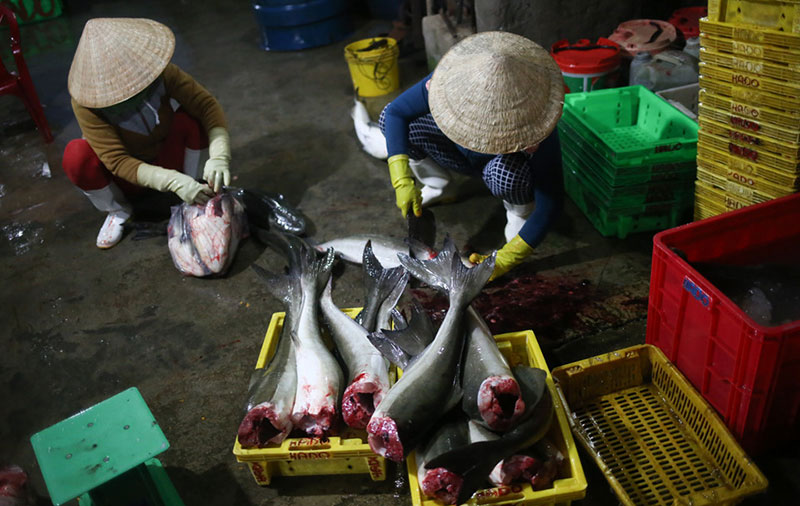 Người dân mưu sinh trong đêm bão