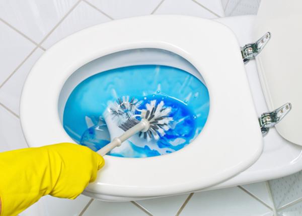 Toilet vẫn thơm sau khi đi vệ sinh nhờ vài mẹo đơn giản Toilet vẫn thơm sau khi đi vệ sinh nhờ vài mẹo đơn giản