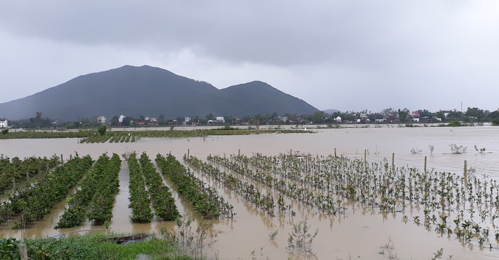 Hàng trăm người tìm kiếm trưởng thôn bị lũ cuốn