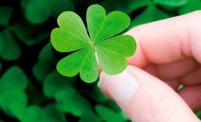 2 việc tuyệt đối không thể đợi ở đời, đừng chần chừ kẻo hối không kịp