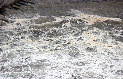 Dầu loang do 9 tàu chìm trong bão Damrey ở biển Quy Nhơn