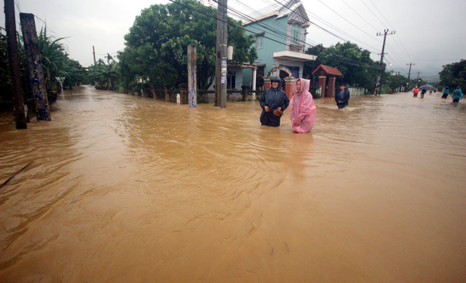 Người dân Quảng Nam đưa heo, bò chạy lũ