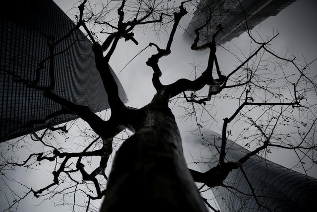 Thế giới qua một năm nhiều biến động