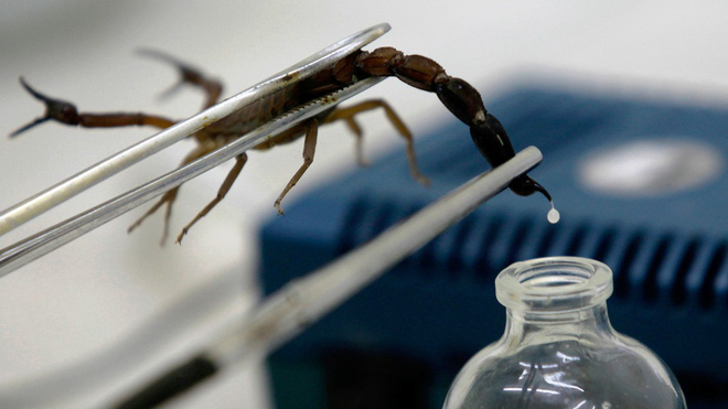 Bác sĩ ở TP.HCM 4 lần bị ung thư, đã sống 14 năm: Bí quyết không phải nọc rắn độc, Fucoidan