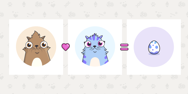 Vừa cuồng mèo vừa muốn đầu tư tiền ảo? Thử chơi CryptoKitties đi biết đâu lại thành triệu phú!
