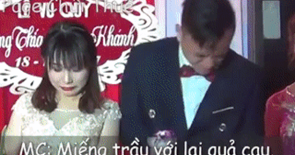 Clip: Chú rể bị chai Champagne bắt nạt trong lễ cưới của chính mình