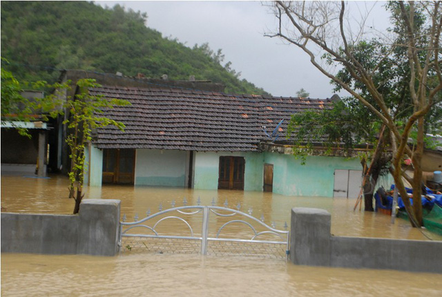 Lũ lớn lại hoành hành, người dân Bình Định kiệt quệ trong biển nước