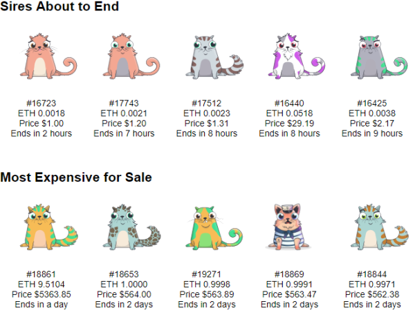 Nuôi mèo ảo đang trở thành cơn sốt của cộng đồng Crypto thế giới, một con có thể bán với giá 2,5 tỷ đồng