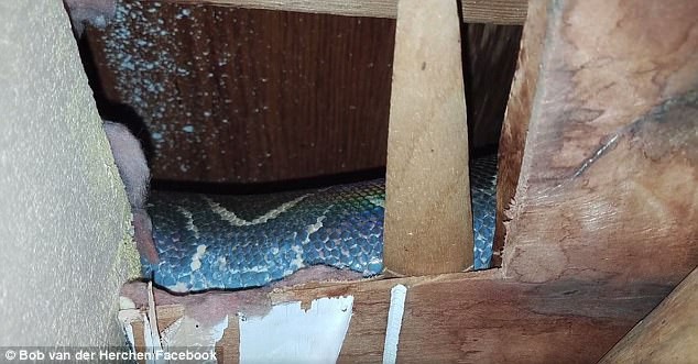 Thấy tiếng ồn trên tầng gác mái suốt nhiều năm, cặp vợ chồng gặp phải cảnh tượng đáng sợ