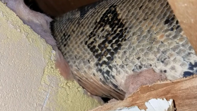 Thấy tiếng ồn trên tầng gác mái suốt nhiều năm, cặp vợ chồng gặp phải cảnh tượng đáng sợ