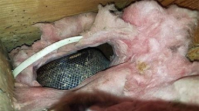 Thấy tiếng ồn trên tầng gác mái suốt nhiều năm, cặp vợ chồng gặp phải cảnh tượng đáng sợ