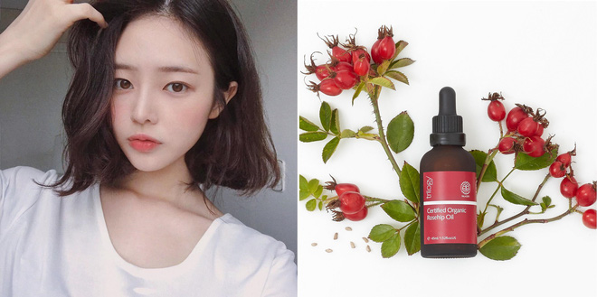 5 loại dầu dưỡng dịu nhẹ giúp bạn dưỡng ẩm da hiệu quả mà không lo lên mụn mùa hanh khô 5 loại dầu dưỡng dịu nhẹ giúp bạn dưỡng ẩm da hiệu quả mà không lo lên mụn mùa hanh khô