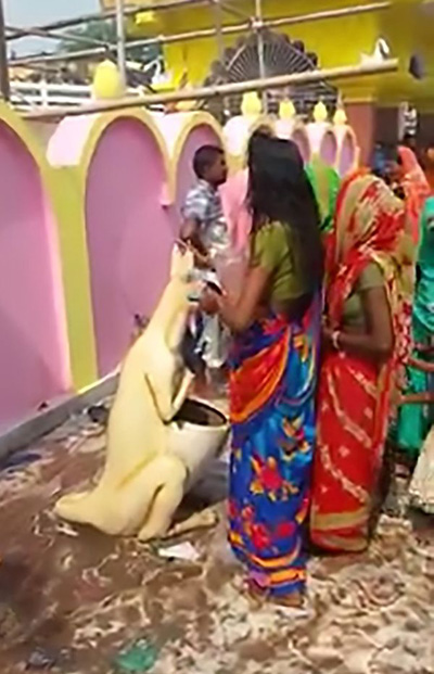 Người đi đền Ấn Độ nhầm thùng rác hình kangaroo là thần Hindu