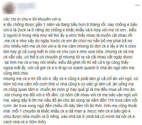Sống chung với mẹ chồng phiên bản ngược: Vợ bầu được cưng như bà hoàng, chồng nhất quyết đòi ra riêng vì không hợp mẹ