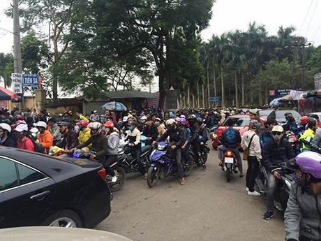 Choáng với cảnh tượng hàng nghìn phượt thủ chen nhau lên Ba Vì săn hoa dã quỳ dịp cuối tuần