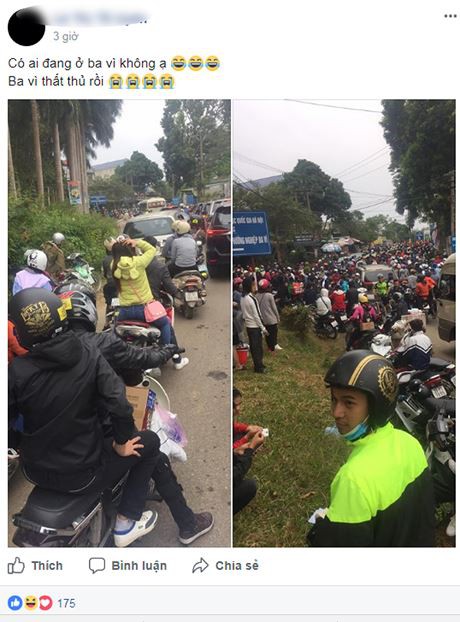 Choáng với cảnh tượng hàng nghìn phượt thủ chen nhau lên Ba Vì săn hoa dã quỳ dịp cuối tuần