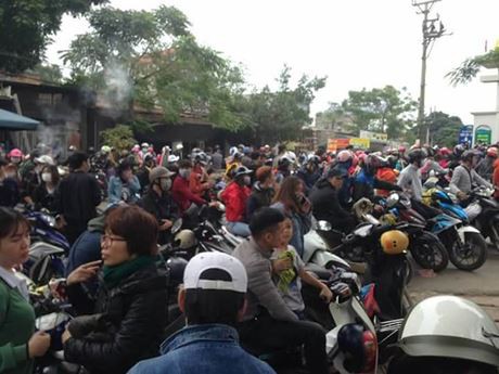 Choáng với cảnh tượng hàng nghìn phượt thủ chen nhau lên Ba Vì săn hoa dã quỳ dịp cuối tuần