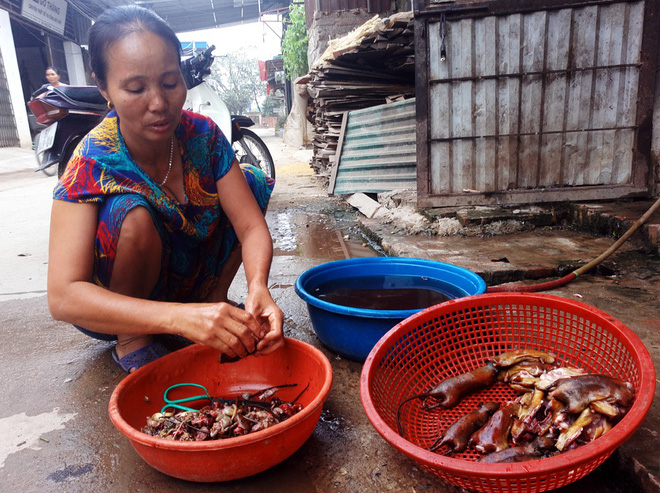 Đột kích nơi phụ nữ, trẻ nhỏ thích ăn thịt chuột hơn thịt gà giữa Hà Nội